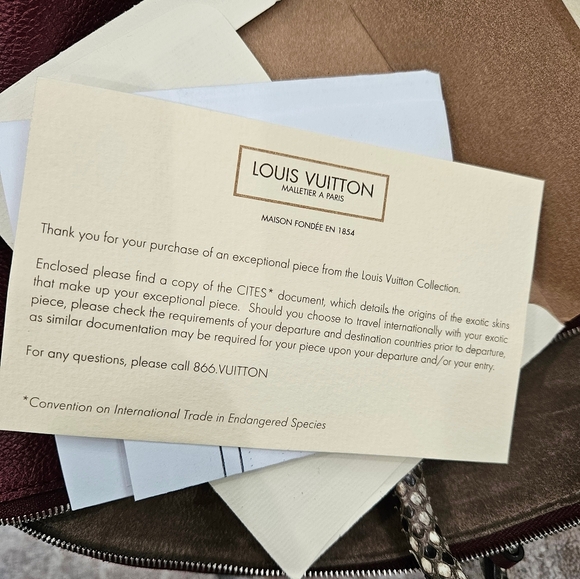 Luis Vuitton- python trimmed soft lockit mm - Picture 7 of 9